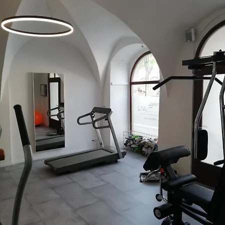 Maxplatz Hotel Hof (Bavaria)